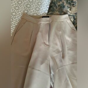 NWOT Express Pleated Dress Pant